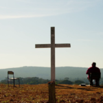 “Milagre Vivo” vence prêmios internacionais e é indicado ao Grande Otelo, o Oscar do cinema brasileiro