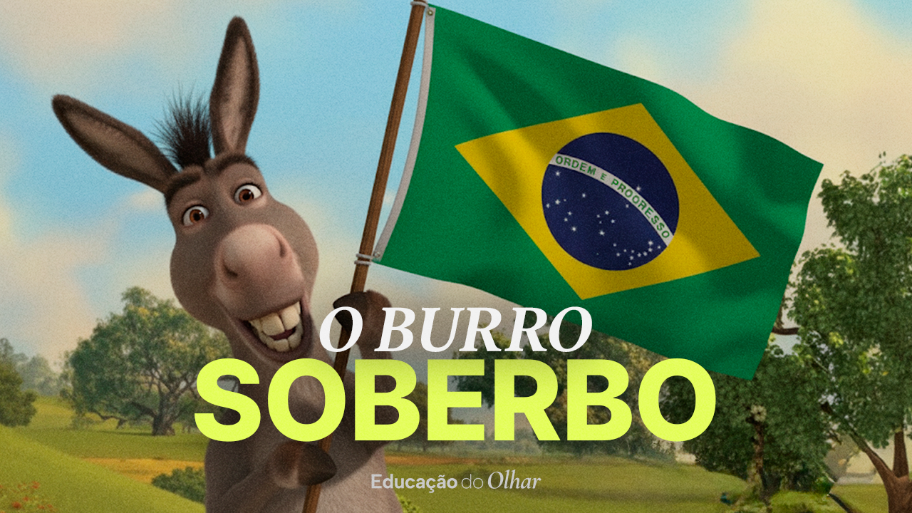 O BURRO SOBERBO | Educação do Olhar #3 | Matheus Bazzo