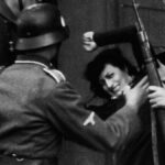 Os melhores filmes de guerra: 5 obras-primas que marcaram a história do cinema