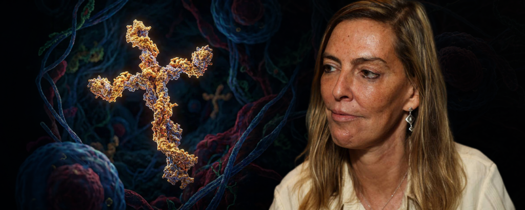 Uma cientista brasileira descobre uma proteína que devolve movimentos a paraplégicos. Entenda por que essa descoberta está chocando o mundo.