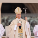 Retrospectiva do pontificado do Papa Leão XIV: um ano de um grande papado 
